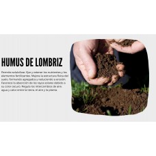 humus de lombriz